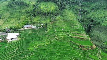 bees homestay sapa and trekking