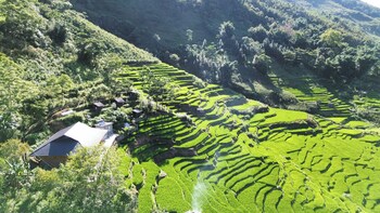 bees homestay sapa and trekking
