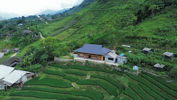 bees homestay sapa and trekking