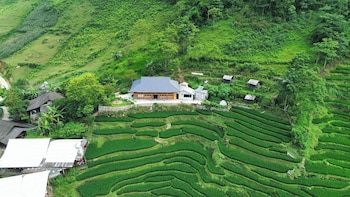 bees homestay sapa and trekking