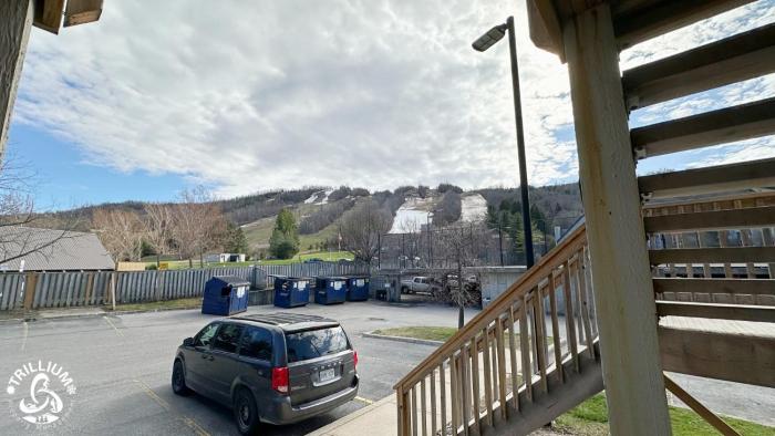 blue mtn 1 bedroom with mountain view