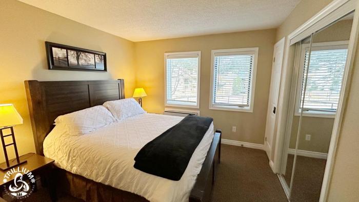 blue mtn 1 bedroom with mountain view