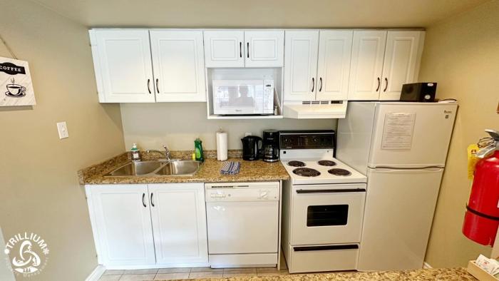 blue mtn 1 bedroom with mountain view