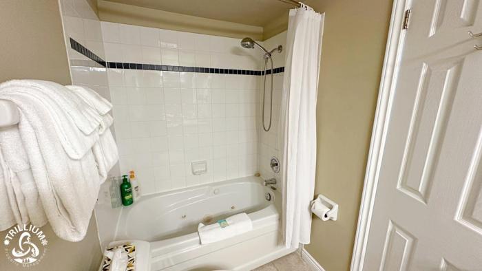 blue mtn 1 bedroom with mountain view
