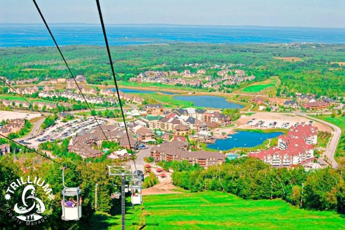 blue mtn 1 bedroom with mountain view