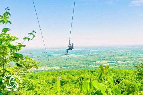 blue mtn 1 bedroom with mountain view