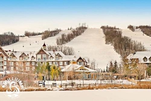 blue mtn 1 bedroom with mountain view