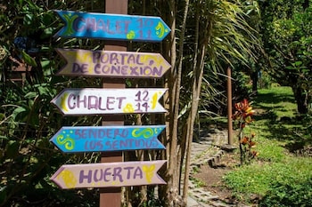 monteverde