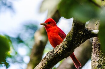 hotel holistico monteverde