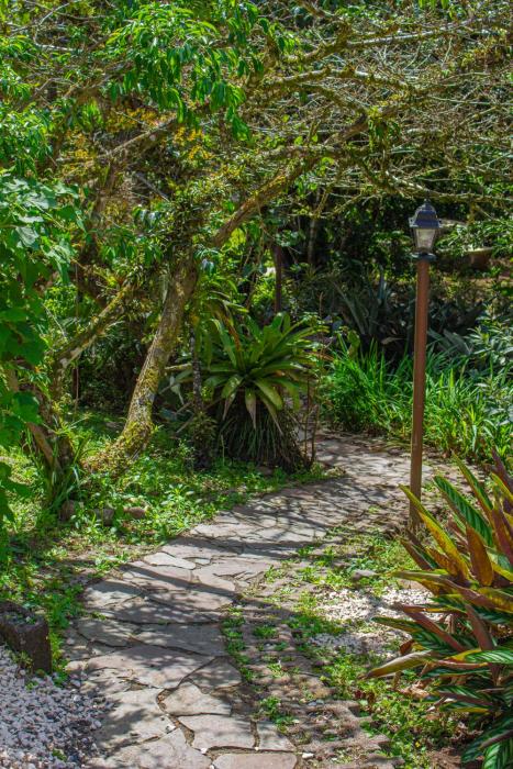 hotel holistico monteverde