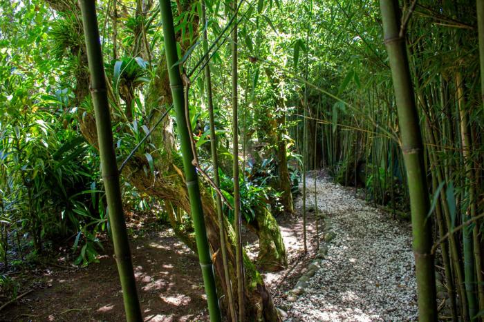 hotel holistico monteverde