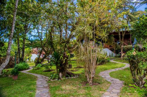 hotel holistico monteverde