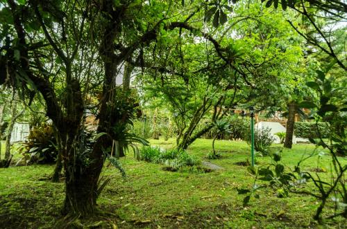 hotel holistico monteverde