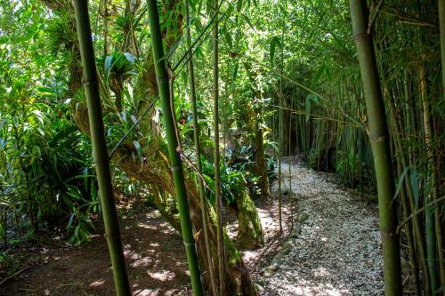 hotel holistico monteverde