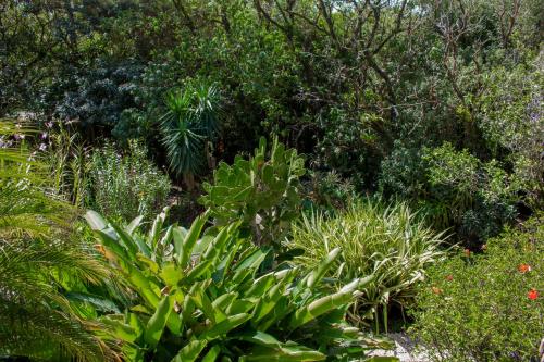 hotel holistico monteverde