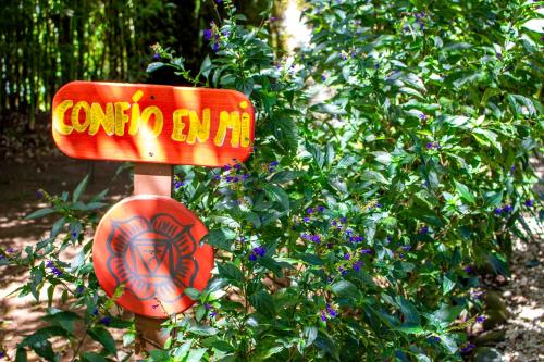 hotel holistico monteverde