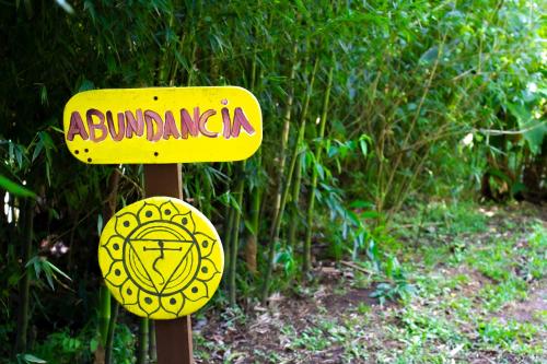 hotel holistico monteverde