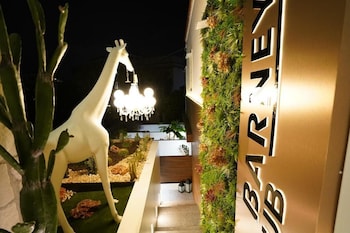 barneys club bandb