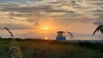pelican by stay hospitality