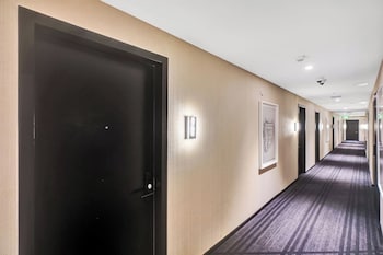 stay hospitality downtown miami