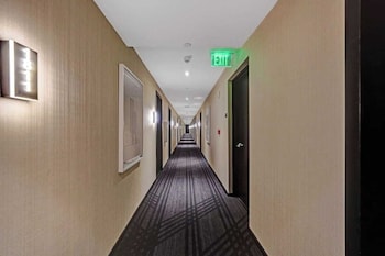 stay hospitality downtown miami