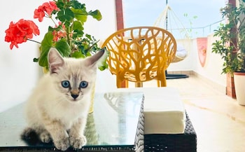 villa yucca bandb and glamping