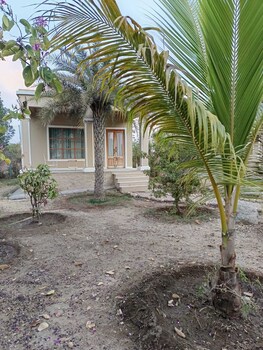 aranya jawai a nature stay