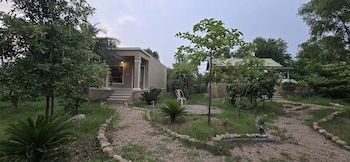 aranya jawai a nature stay