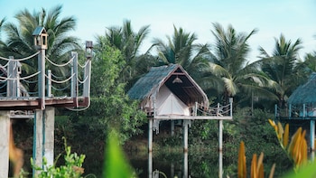 coco cao glamping