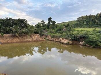 gandhadagudi nature retreat