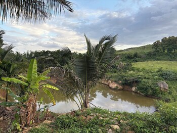 gandhadagudi nature retreat