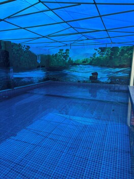 Gandhadagudi Nature Retreat,,3 star
