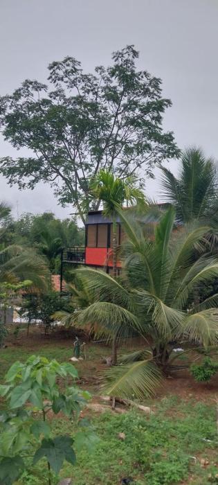 gandhadagudi nature retreat