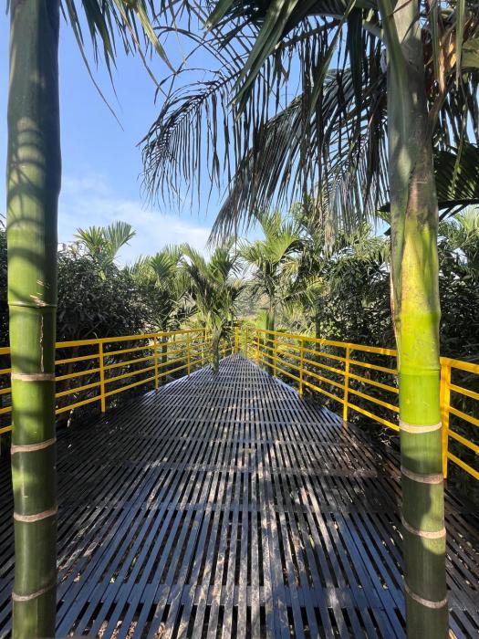 gandhadagudi nature retreat