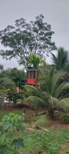 gandhadagudi nature retreat