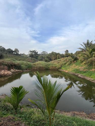 gandhadagudi nature retreat