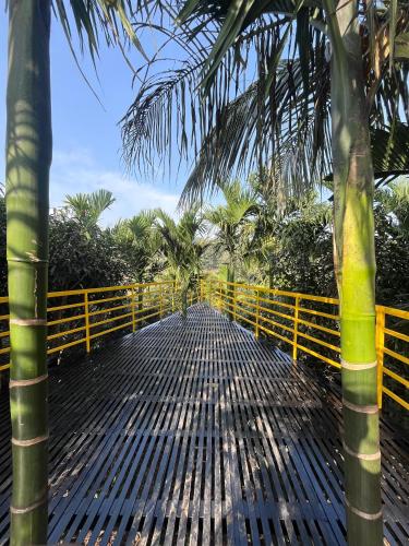 gandhadagudi nature retreat