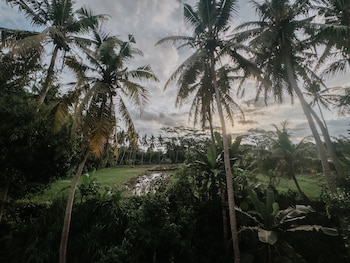 uma lys villa ubud