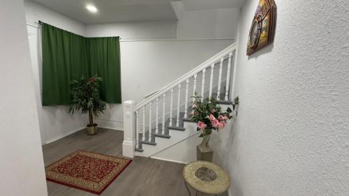 naryn guest house