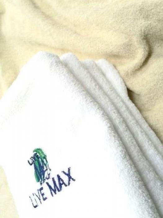 hotel livemax iyo mishima