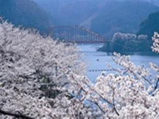 hotel route inn nabari