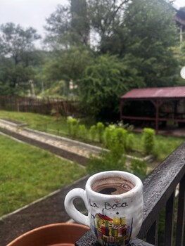 noor dilijan