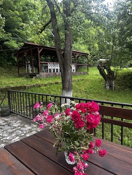 noor dilijan