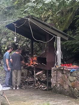 noor dilijan