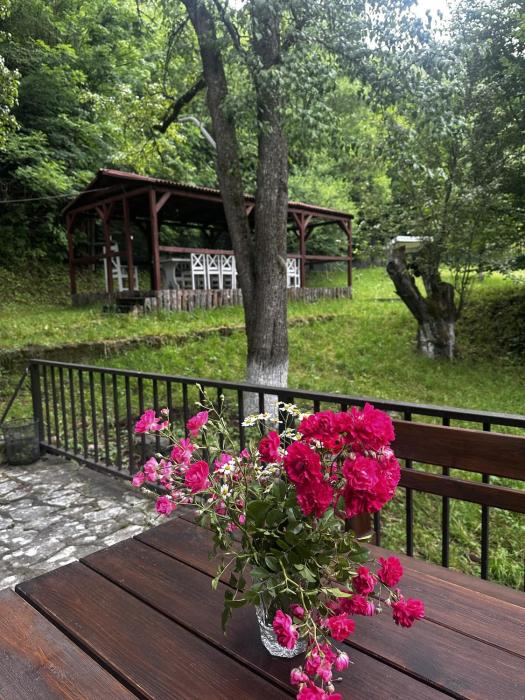 noor dilijan