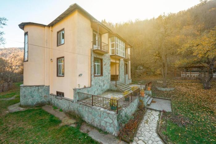 noor dilijan
