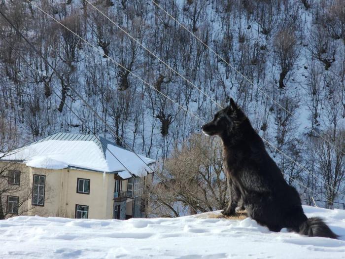 dilijan