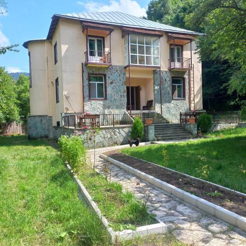 noor dilijan