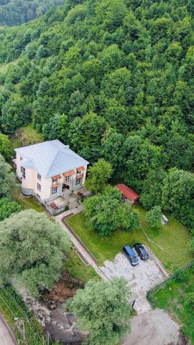 noor dilijan