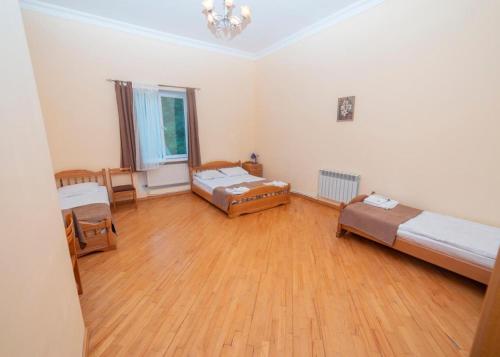 noor dilijan